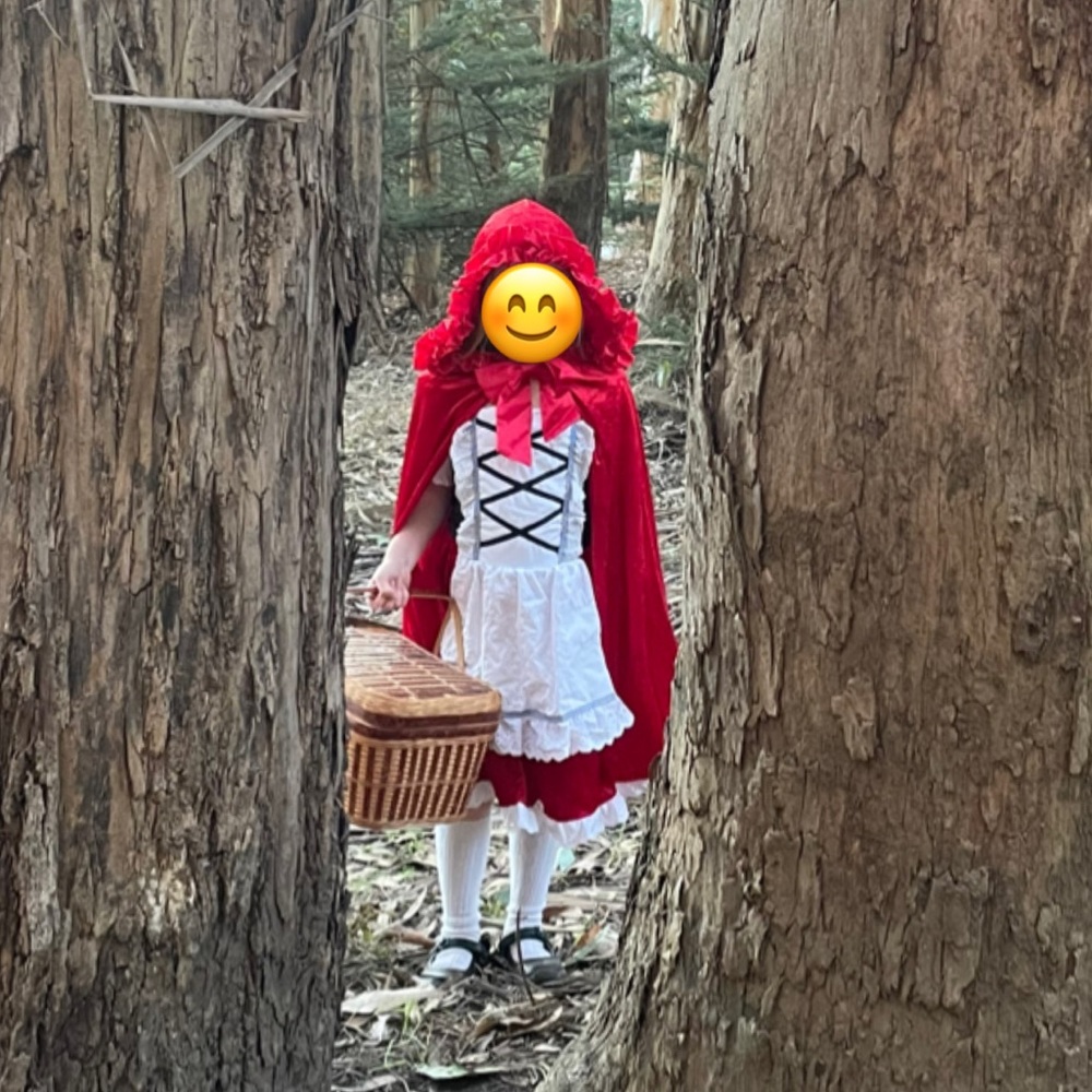Kids Little Red Riding Hood Costume